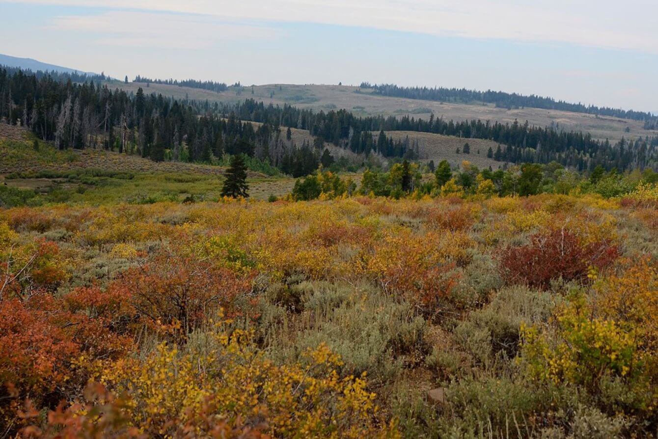 Modoc County Sheriff S Office Focuses On Hazard Plans Modoc Record   Unnamed 6 1340x894 